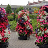 Vytvořte svislé záhony s vlastními rukama!